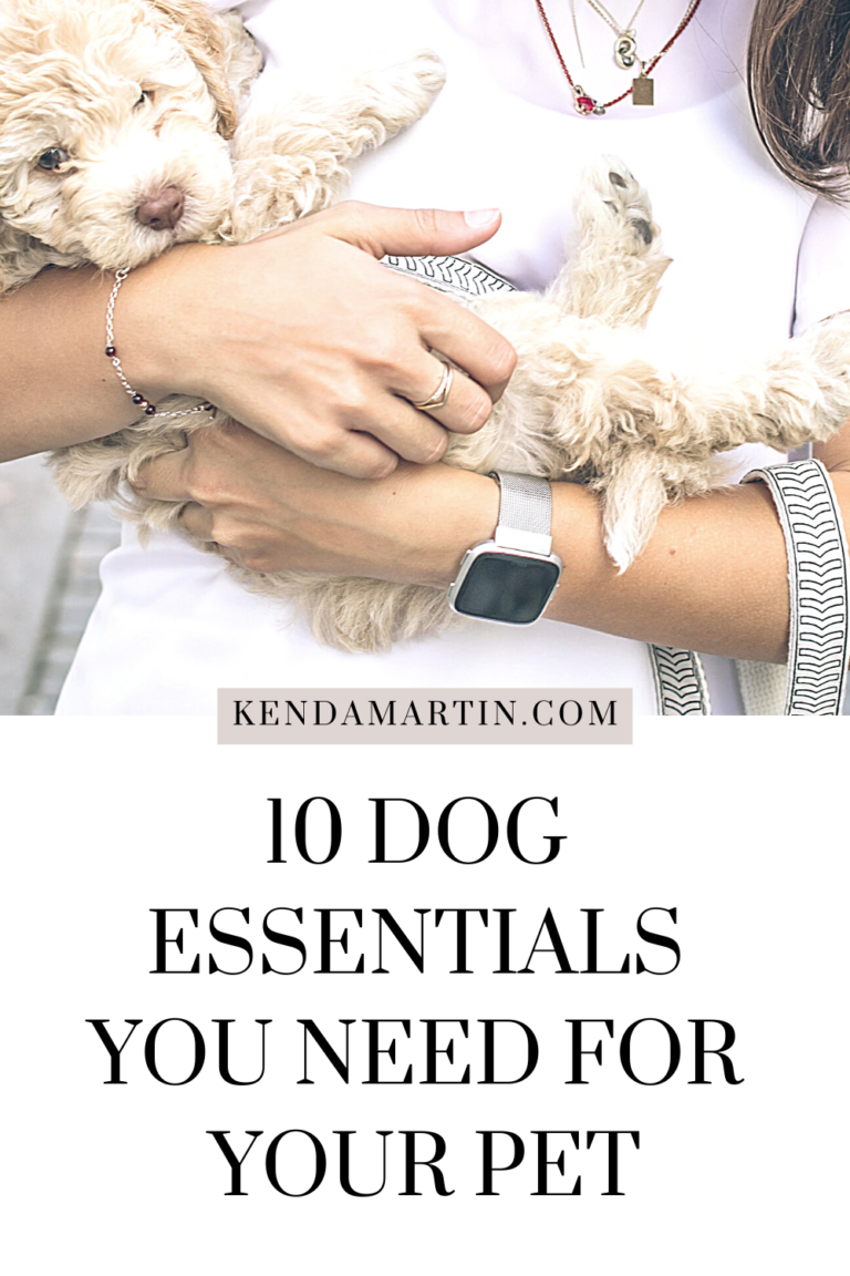 10 DOG ESSENTIALS YOU NEED FOR YOUR PET