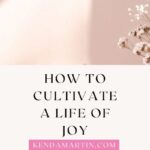 HOW TO ADD JOY TO YOUR LIFE (INTERNALLY & EXTERNALLY)